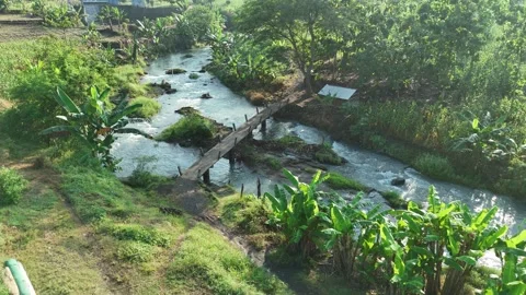 Aerial View of River Flow with Bridge and Lush Vegetation Stock Footage 309916187