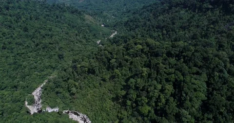 Aerial view river flow through green tree forest mountain movement video Stock Footage 133356675