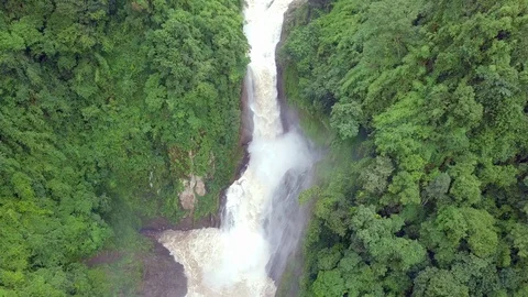 Aerial view river flowing in the forest, river in tropical rainforest. Stock Footage 93233010