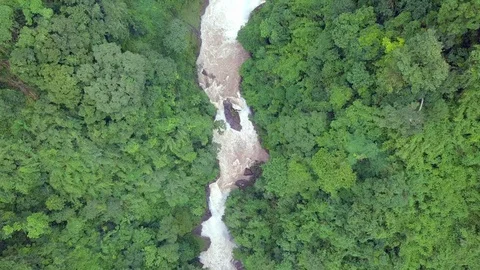 Aerial view river flowing in the forest, river in tropical rainforest. Stock Footage 93233153