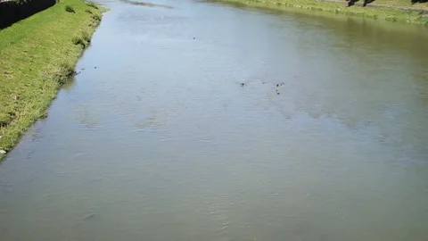 Aerial view of a river flowing through the city center.Coziness, beautiful Stock Footage 99602471