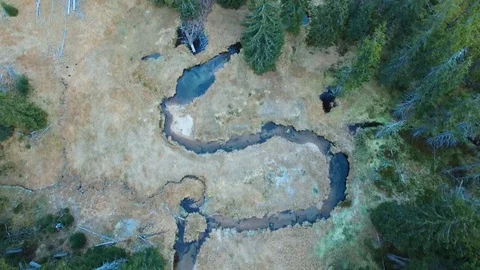 Aerial view of a river flowing through a beautiful landscape Video stock 101781728