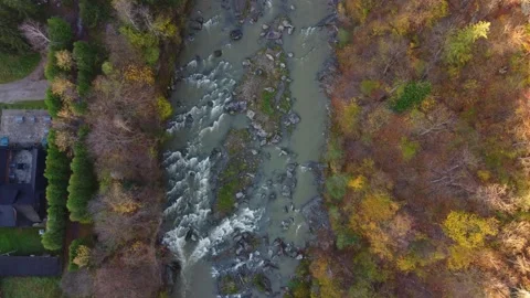 Aerial view of a river flowing through a forest in autumn. Video stock 254826418