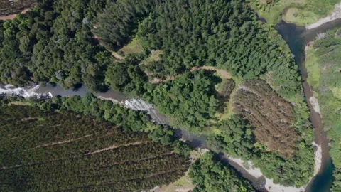Aerial View of River Flowing Through Dense Forest Stock Footage 303603806