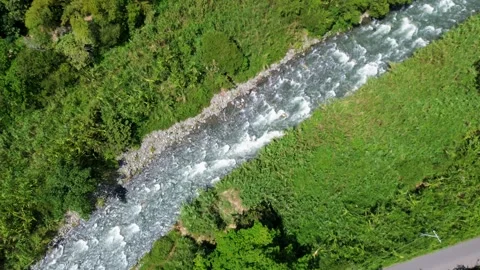 Aerial View of River Flowing Through Lush Jungle, Serene Rainforest Landscape Stock Footage 306784516