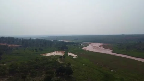 Aerial view of a river flowing through a lush green landscape with trees and Stock Footage 307892104