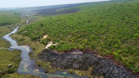 Aerial view of a river flowing through a lush green forest with a patch of burnt Stock Footage 307899934