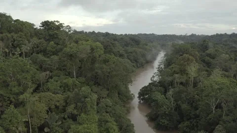 Aerial View of a River Flowing Through the Amazon Rainforest in Ecuador Stock Footage 312218894