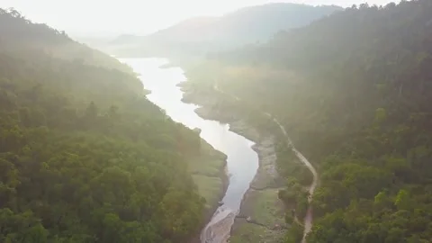 Aerial view of river flowing through forest landscape in sunlight Stock Footage 312432992