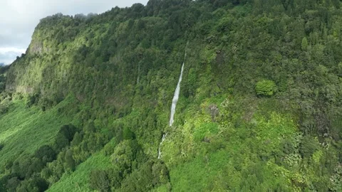 Aerial View of River Flowing Through Tropical Green Rainforest Stock Footage 312747764