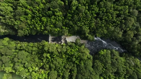 Aerial View of River Flowing Through Tropical Green Rainforest Stock Footage 312748274
