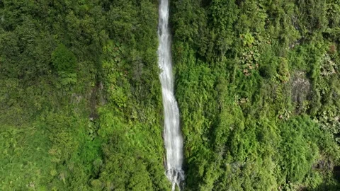 Aerial View of River Flowing Through Tropical Green Rainforest Stock Footage 312749207