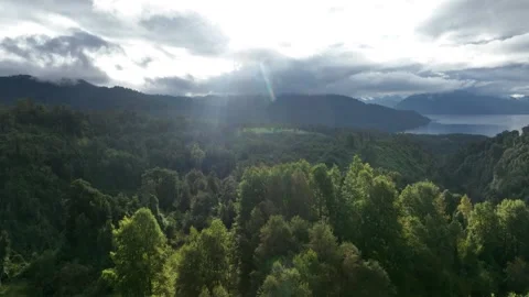 Aerial View of River Flowing Through Tropical Green Rainforest Stock Footage 312749708