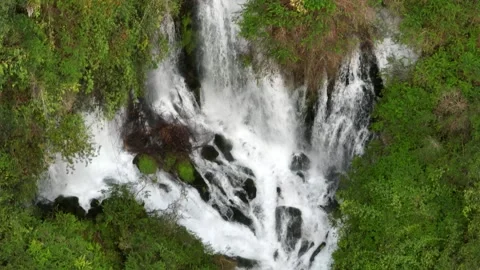 Aerial View of River Flowing Through Tropical Green Rainforest Stock Footage 312751913