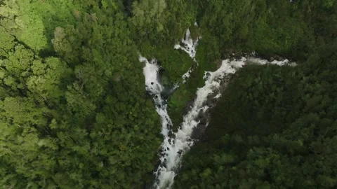 Aerial View of River Flowing Through Tropical Green Rainforest Stock Footage 312752098