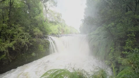 Aerial View of River Flowing Through Tropical Green Rainforest Stock Footage 313957594