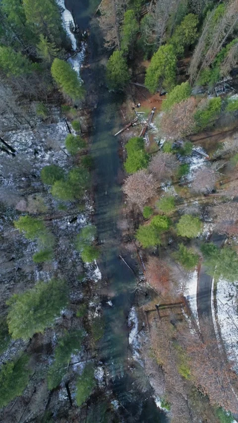 Aerial view of a river flowing through a snowy forest. Yosemite, USA Stock Footage 314402786