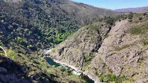 Aerial view of a river flowing through deep green canyon with wooden boardwalks 库存影片 332368760