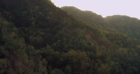 Aerial view of river flowing through misty jungle landscape at sunrise 스톡 동영상 332755484
