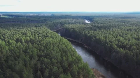 Aerial view of a river flowing through green forest Stock-Footage 333834770