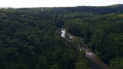 Aerial view of river flowing through a dense green forest Stock Footage 334840666