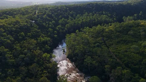 Aerial view of a river flowing through a dense green forest Stockbeeldmateriaal 334840682