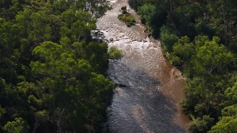 Aerial view of a river flowing through lush green forest 動画素材 334846956