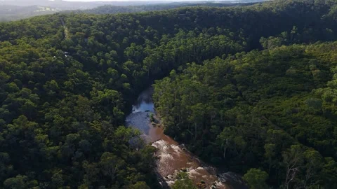 Aerial view of a river flowing through a dense green forest 動画素材 334847702