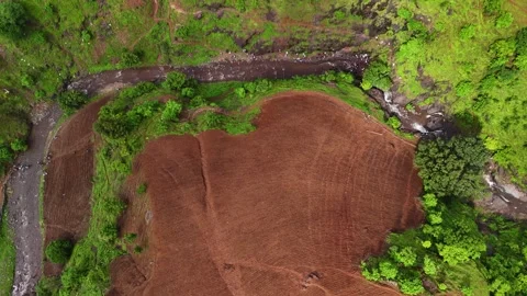 Aerial View of River Flowing Through a Lush Green Forest Stock Footage 339682879