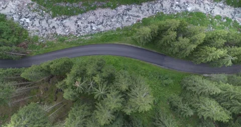 Aerial view of River flowing trough Forest in the Alps Stock Footage 197533587