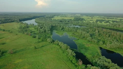Aerial view of the river, flying over the river. 動画素材 196633362