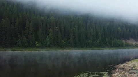 Aerial view of the river in the fog in the forest Video stock 252247064