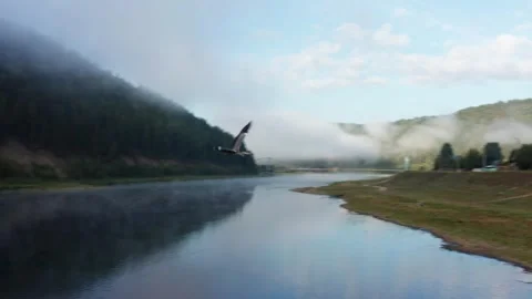Aerial view of the river in the fog in the forest Stock Footage 252247126