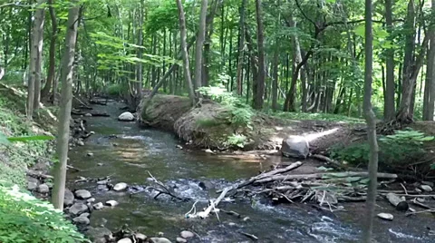 Aerial view of a river Video stock 39809190