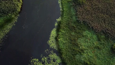 Aerial view of river Stock Footage 108456703