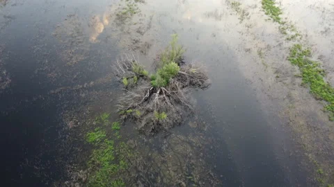 Aerial view of the river Stock Footage 170714840