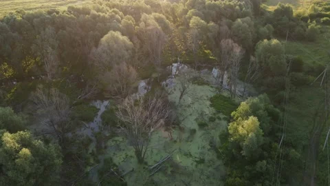 Aerial view of the river Stock Footage 202282426