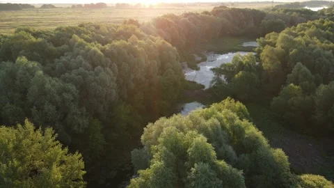 Aerial view of the river Stock Footage 202282429