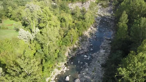 Aerial view of a river Stock Footage 217396112