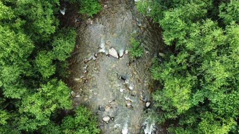 Aerial view of the river. Stock Footage 221721864