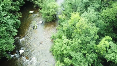 Aerial view of the river. Stock Footage 221722095