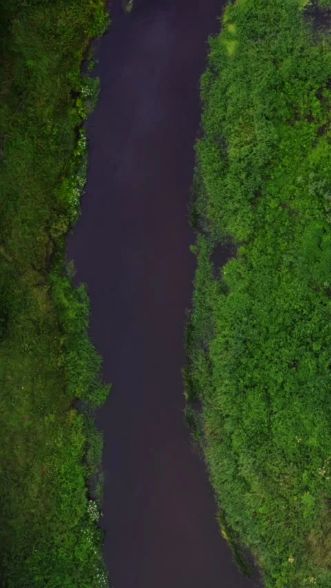 Aerial view of the river Stock Footage 279553307
