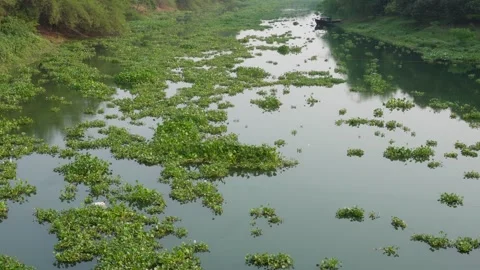 Aerial View of River Video stock 333923971