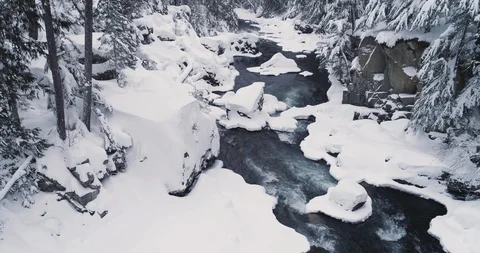 Aerial View Of River In A Forest During Winter Stock Footage 124225946