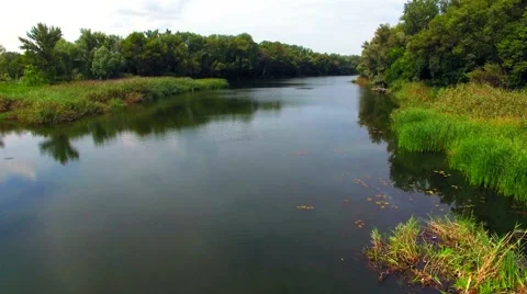 Aerial view of river in the forest Stock Footage 60744466