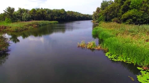 Aerial view of river in the forest Stock Footage 60745395
