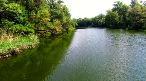 Aerial view of river in the forest Stock Footage 60745444