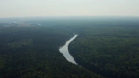 Aerial view of the river in the forest Stock Footage 214294242