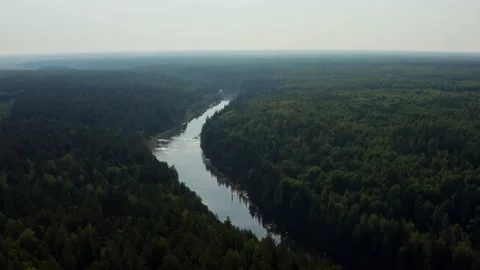 Aerial view of the river in the forest Stock Footage 214363385
