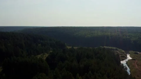 Aerial view of the river in the forest Stock Footage 217270022